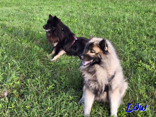 30.9.2025 - Blick Richtung Herbst